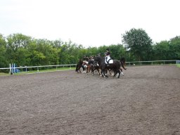 img_5738_web